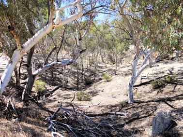 Dry Creek, Greenhills, Western Australia